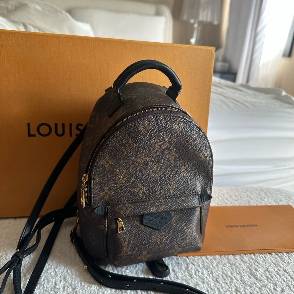 Louis Vuitton Mini Palm Springs Monogram Backpack